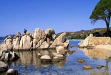 2023年女足世界杯在哪里举行？